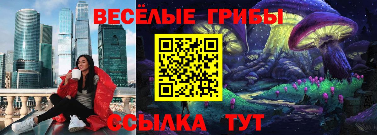 Галлюциногенные грибы Psilocybe Урай