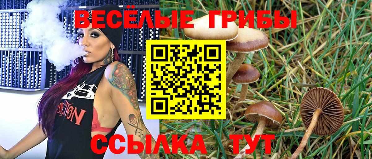 Галлюциногенные грибы мицелий  Псилоцибиновые грибы Cubensis  Вход с VPN  Урай 